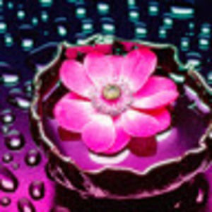 Meet your Posher, Charlene